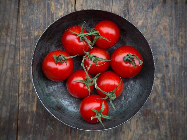 토마토 한 개면 영양제나 햇빛 필요없어 - 비타민D 강화 유전자 편집 토마토가 개발됐다.네이처 제공