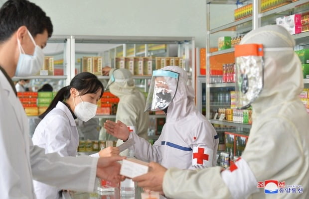 의약품 공급에 투입된 북한 군의관들. /사진=연합뉴스