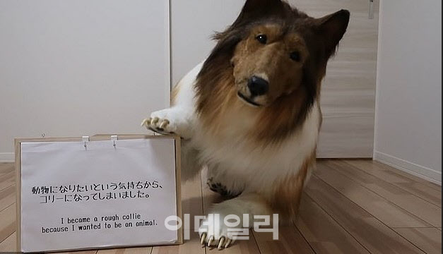 개로 변신하기 위해 콜리 의상을 특수제작해 입은 일본인 남성. (사진=도코 산 트위터 캡처)