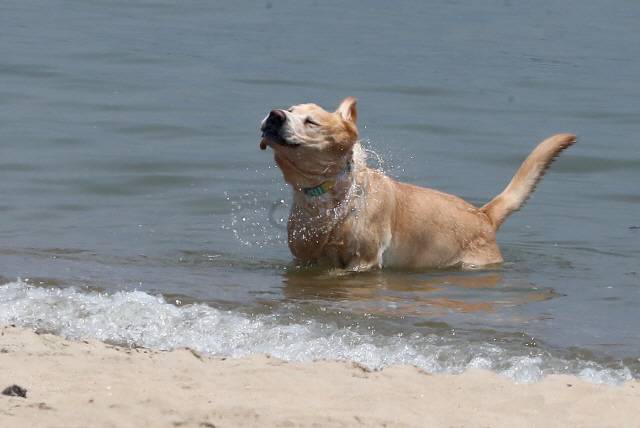 ▲ 28일은 강원을 포함에 전국이 대체로 맑겠다.연합뉴스