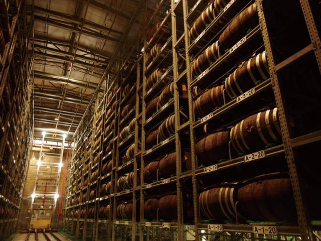 하이트진로의 경기 이천공장 내 증류식 소주 '일품진로' 고연산 제품 목통 숙성실. 하이트진로 제공