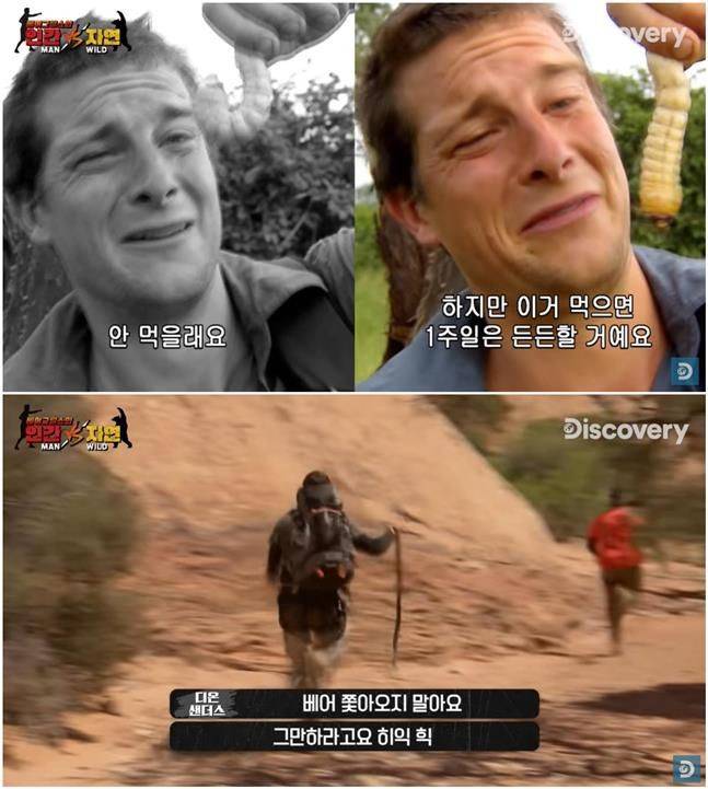 ⓒ디스커버리 서바이벌