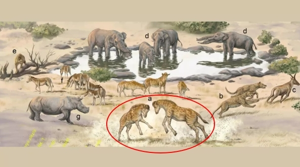 약 1700만년 전 마이오세(중신세) 초기 중국 지역에 서식했던 기린과(科)의 조상격 동물 ‘디스코케릭스 셰즈’ 와 동시대 살았던 다른 고대 동물들 상상도