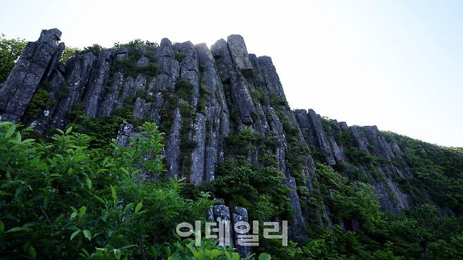 전망대에서 본 서석대의 모습. 해발 1000m 높이에 1~2m 너비의 200여개 돌기둥이 약 50m에 걸쳐 늘어서 있다.
