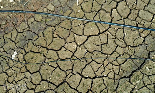 50년 만에 최악의 봄가뭄이 이어지고 있는 가운데 8일 강원 인제군 남면 소양강 상류지역 하천이 바닥을 드러내고 있다.