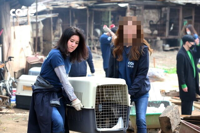 지난해 7월 경기도 남양주 개농장에서 케어는 260여마리의 개를 구조하고 보도자료를 냈다. 제보자는 이 중 50마리 이상이 안락사당했다고 밝혔다. 케어 제공