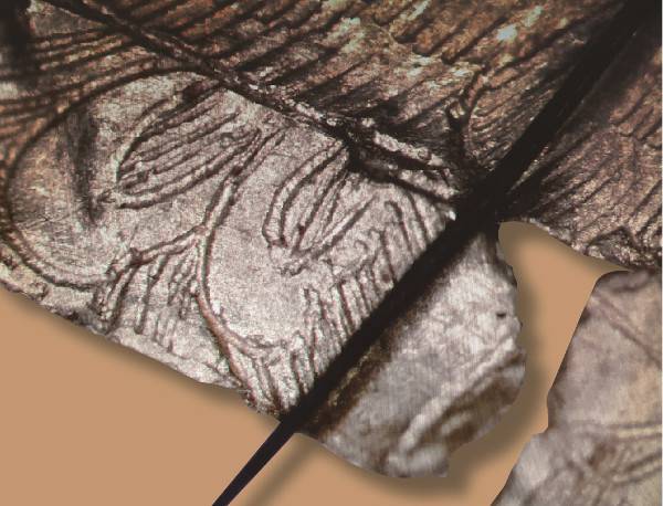 문양의 선 굵기를 가늠하도록 머리카락과 비교한 모습. 문화재청 제공