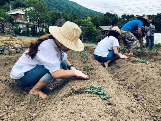 전남 화순에서 직접 작업 중인 김지영 대표. 출처=브로컬리컴퍼니