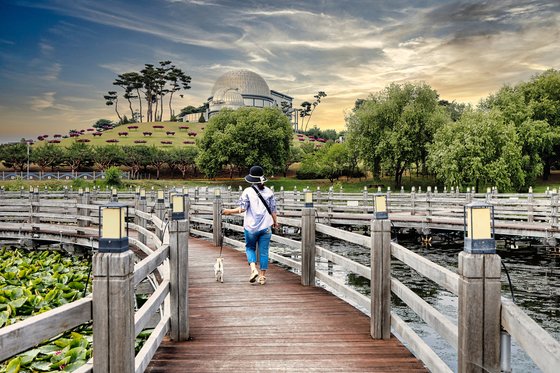 안성맞춤랜드의 수변공원. 목줄만 하면 반려견도 자유롭게 거닐 수 있다. 사진 경기관광공사