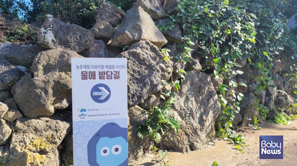 애월읍 수산리에 조성된 '물메 밭담길'. ⓒ김재원