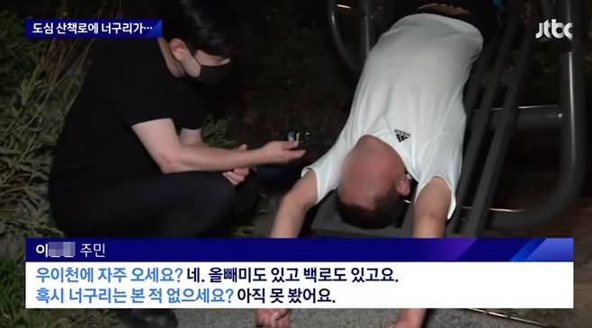 지난 27일 JTBC 뉴스룸 '밀착카메라' 뉴스 영상/JTBC