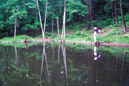 광부 가족들의 애환이 서린 도롱이연못. 지금은 MZ세대 포토존.