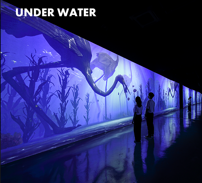 몰입형 미디어아트 전시관 아르떼뮤지엄 전시 사진. ⓒ부산시 제공