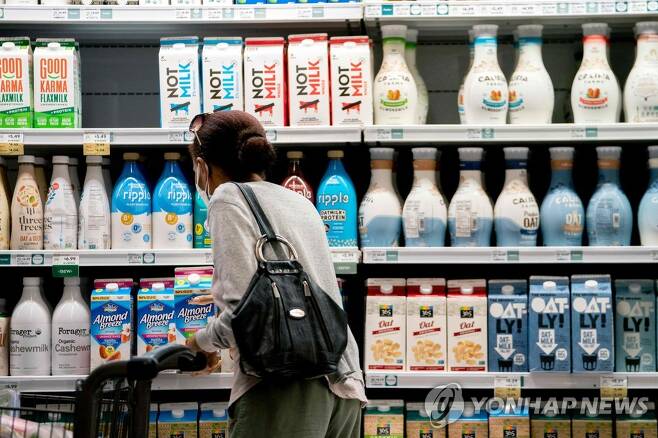 미국 워싱턴DC의 슈퍼마켓에서 장을 보는 한 미국인 [AFP 연합뉴스 자료사진]