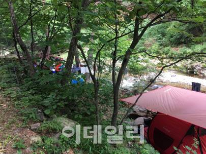 산림에 설치된 불법 시설물. (사진=산림청 제공)