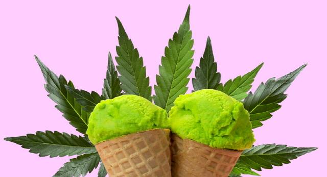 대마가 부분 합법화된 태국을 여행할 땐 모르고 대마를 먹지 않도록 유의해야 한다./사진=게티이미지뱅크