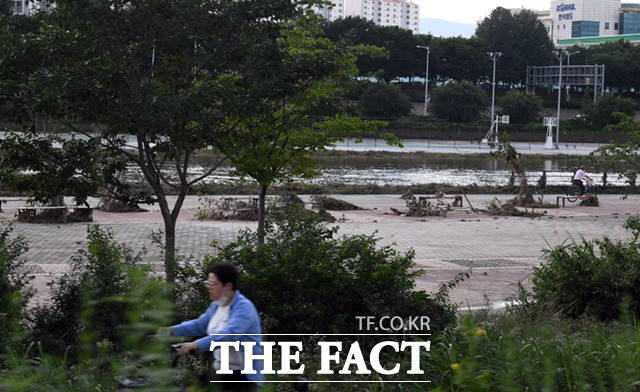 비가 그친 1일 서울 중랑천 인근 공원이 물에 잠겼다가 드러나며 나무 등이 쓰러져 있다.
