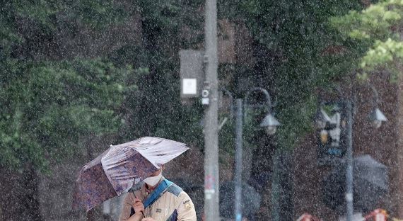장마가 계속되는 29일 오후 서울 청계광장에서 시민들이 우산을 쓴 채 걸어가고 있다. / 사진=연합뉴스