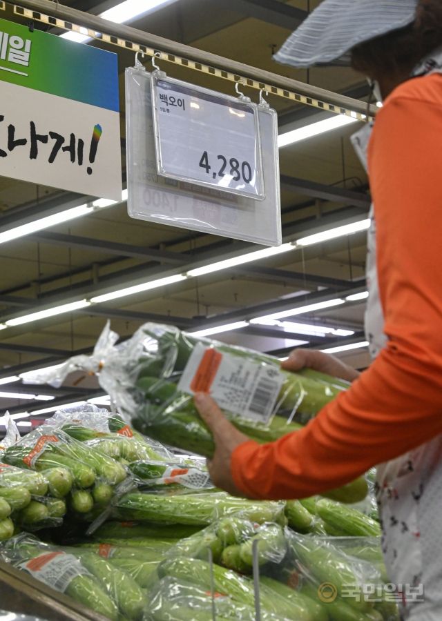 3일 서울 서초구 농협유통 하나로마트 양재점에서 시민들이 농산물을 구매하고 있다.
