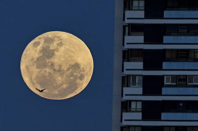 13일(현지시간) 아르헨티나 부에노스 아이레스에서 관측한 슈퍼문. AFP=연합뉴스