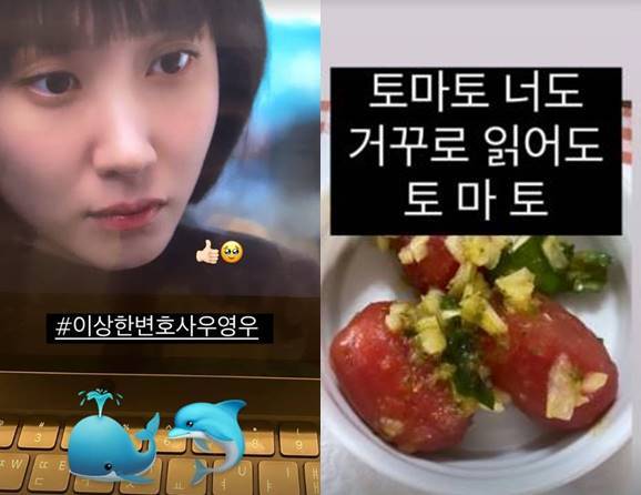 /사진=정유미 인스타그램