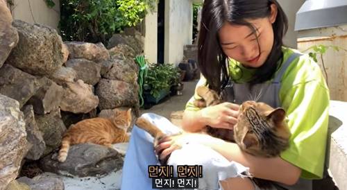 유튜버 윤이버셜 사망 사진=윤이버셜 유튜브