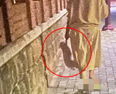 부산 아파트 단지서 주민이 찍은 '동물학대 제보 사진'. 한 견주가 작은 강아지의 앞발 하나를 손에 쥔 채, 걸어가고 있다./사진=학사모(학대견을 돕는 사람들의 모임) 인스타그램(@hac_sa_mo)