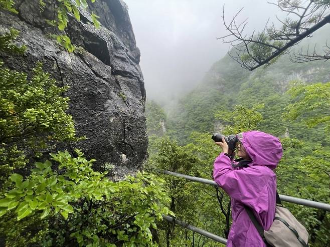 허태임 박사는 현재 국립백두대간수목원 보전복원실에서 우리 땅에서 사라져가는 식물을 지키기 위한 연구를 수행하고 있다. /사진제공=허태임 박사, 김영사