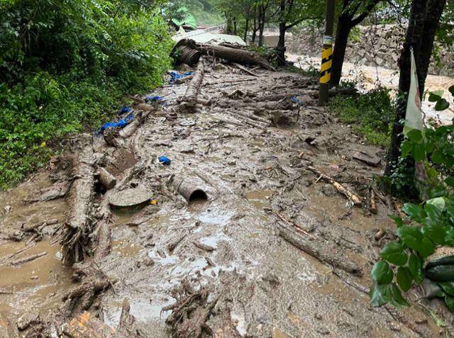 10일 오전 6시 34분쯤 강원 횡성군 청일면 속실리에서 산사태가 발생해 흙과 나뭇더미가 쏟아져 내려 있다. 횡성소방서 제공