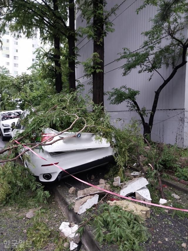 10일 서울 목동의 한 아파트에서 외벽 일부가 주차돼 있던 차량에 떨어져 차체가 심하게 훼손됐다. 독자 제공
