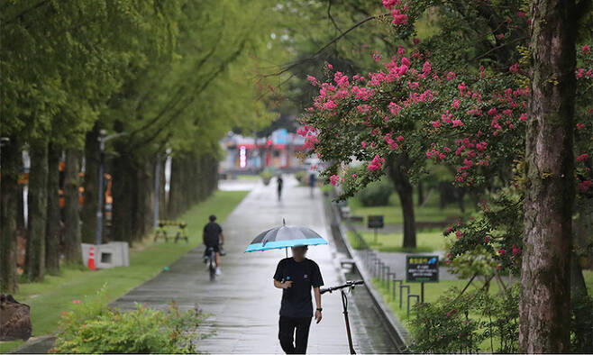 집중호우가 이어진 11일 광주에도 비가 내려 북구 전남대학교 교정에 우산 쓴 행인들이 지나고 있다. 연합뉴스