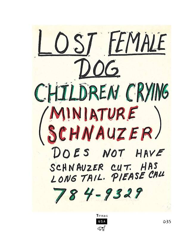 “아이들이 울고 있어요.” 암컷 미니어처 슈나우저를 찾는 포스터(미국 텍사스). 생각비행 제공