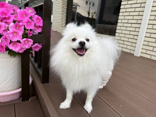 이선 작가 제공