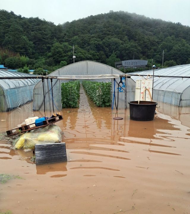 충남 청양군에 폭우가 쏟아진 14일 새벽 장평면 화산리 멜론 재배 비닐하우스가 물에 잠겨 있다. 연합뉴스