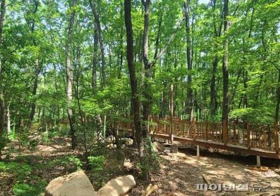 안양시 안양예술공원 내 ‘예술 탐방로’. 사진제공=안양시