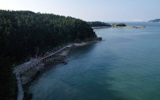 충남 태안군 이원면 내리 만대항을 출발해 해변을 따라 세워진 나무 데크를 걷는 서해랑길 73코스 솔향기길.