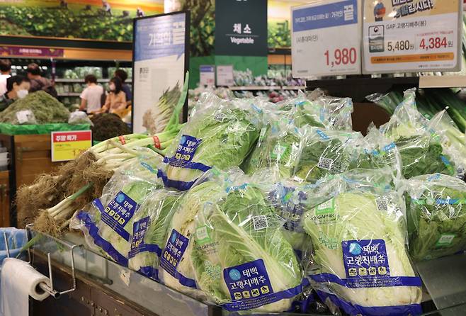 4일 서울 시내 대형마트에 채소 판매대 모습. 연합뉴스
