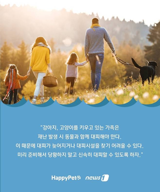 재난 발생 시 반려동물과 대피 방법 ⓒ 뉴스1