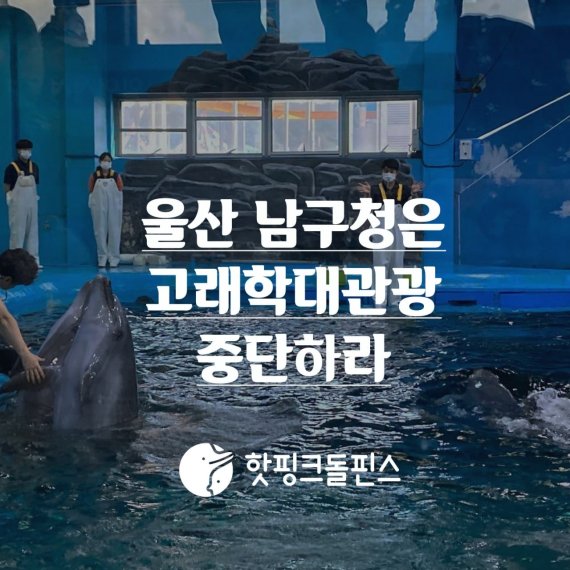 환경단체, 서동욱 울산 남구청장에게 '고래 학대 관광