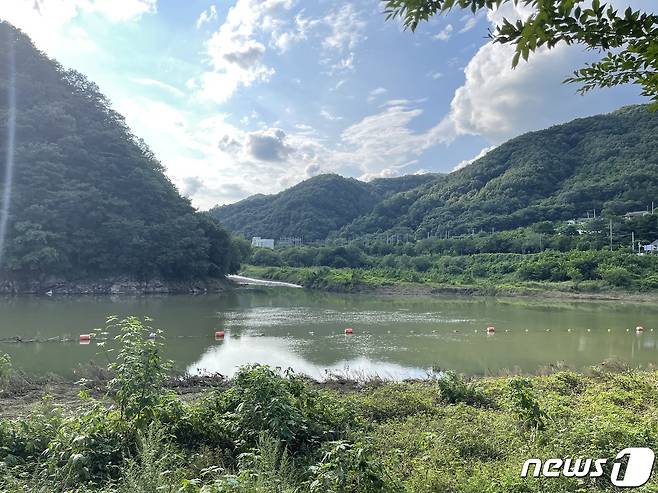 18일 충북 충주시는 산척면 삼탄유원지 하천 대장균 수치가 기준치를 초과했다고 밝혔다. 이 하천은 수도권 주민의 식수원인 충주호로 흘러가 재발 방지책을 찾아야 한다는 목소리가 커지고 있다. 비가 내린 뒤 삼탄유원지 하천 모습.2022.8.18/뉴스1 ⓒ News1 윤원진 기자