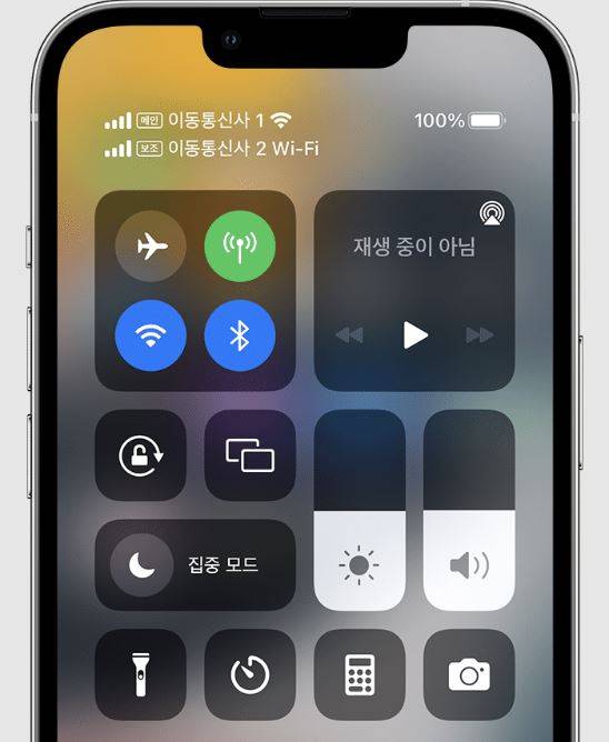 듀얼심을 활성화한 아이폰 화면. 애플 제공