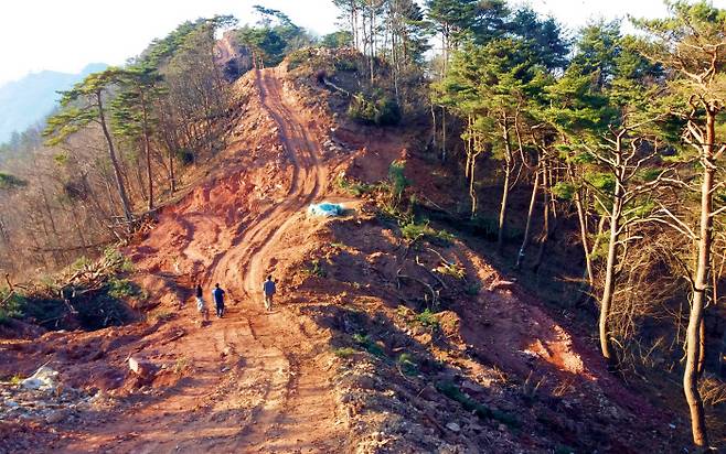 풍력발전기를 세우기 위해서는 생태적으로 가장 중요한 정상부의 나무들이 잘려나가고 회복하기 어려운 산림 훼손이 발생한다.