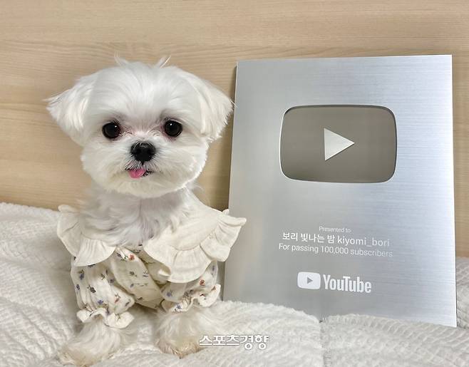 추석 ‘가상 인터뷰’에 나선 20만 크리에이터 박보리, 사진제공| 효원 C&C