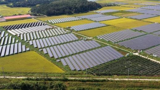 - 농지 취득·소유 및 이용·전용 현황 등을 상시 관리할 전담조직인 농지은행관리원이 18일 설치 운영된다. 전남 영암 간척지에 조성돼 지역민들의 반발을 사고 있는 태양광발전시설. 본문과 직접 관련 없음. 서울신문 DB