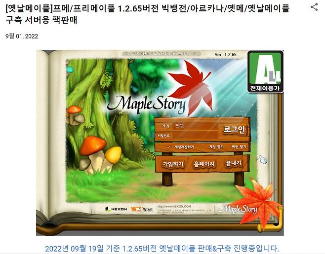 20일 인터넷 한 웹페이지에 게임 메이플스토리의 프리서버(불법 사설 서버)를 판다는 광고가 올라와 있다./사진=프리서버 광고 페이지 화면 갈무리