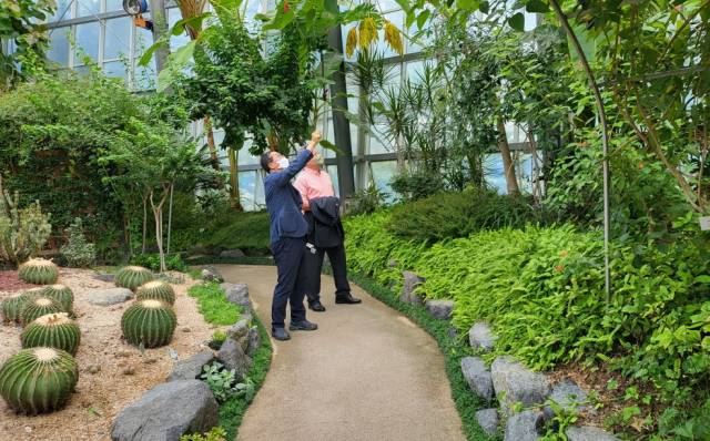 ▲유재준 푸른도시사업소장이 창원수목원 내 식물들의 상태를 살펴보고 있다. ⓒ푸른도시사업소 산림휴양과최선아 주무관