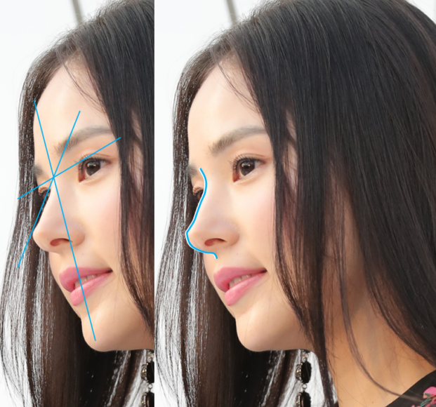 성형외과 의사들이 코가 예쁜 여자로 꼽은 민효린의 옆 얼굴 모습,