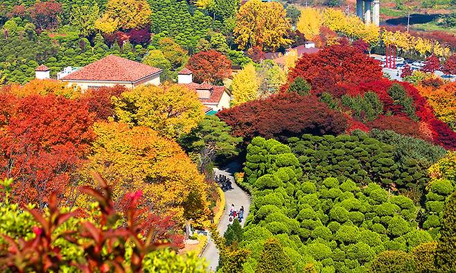 ‘2022 대한민국 정원산업박람회’ 사전행사로 세종의 정원을 둘러보는 ‘오픈가든페스티벌’ 모습. 세종시 제공