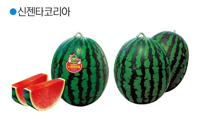 누네띠네꿀 / 달고나꿀.