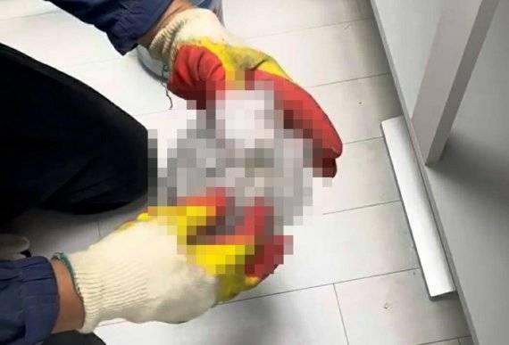 제보자 A씨 제공. 재판매 및 DB 금지. /사진=연합뉴스